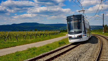 Eine Rhein-Neckar-Tram auf der Strecke zwischen Bad Dürkheim und Ludwigshafen, in Mitten von Weinbergen. Im Hintergrund erhebt sich der Pfälzer Wald.