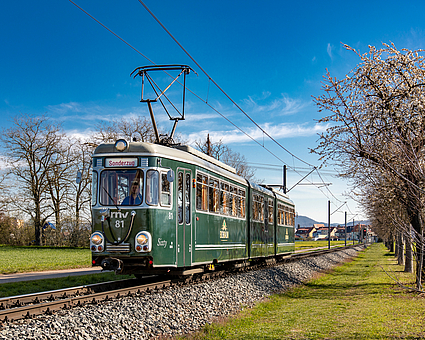 rnv-Eventfahrzeug Sixty im Grünen