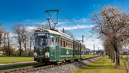 rnv-Eventfahrzeug Sixty im Grünen