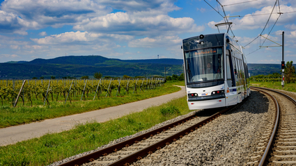 Eine Rhein-Neckar-Tram auf der Strecke zwischen Bad Dürkheim und Ludwigshafen, in Mitten von Weinbergen. Im Hintergrund erhebt sich der Pfälzer Wald.
