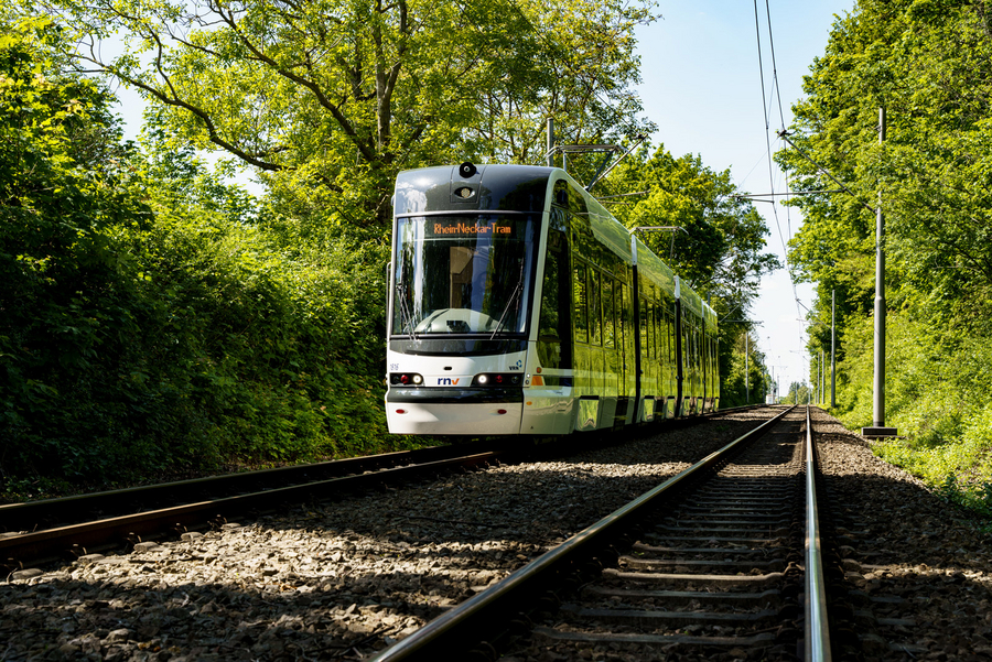 Eine Rhein‑Neckar‑Tram (RNT) von Škoda fährt auf einer Grünstrecke zwischen Bäumen unter Oberleitungen.