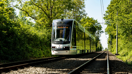 Eine Rhein‑Neckar‑Tram (RNT) von Škoda fährt auf einer Grünstrecke zwischen Bäumen unter Oberleitungen.