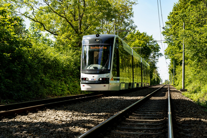 Eine Rhein‑Neckar‑Tram (RNT) von Škoda fährt auf einer Grünstrecke zwischen Bäumen unter Oberleitungen.