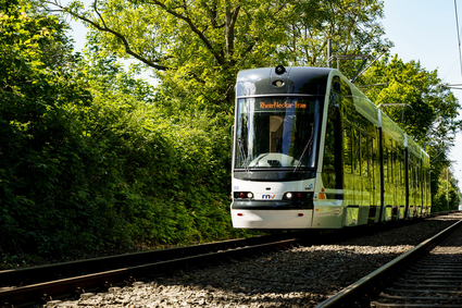 Eine Rhein‑Neckar‑Tram (RNT) von Škoda fährt auf einer Grünstrecke zwischen Bäumen unter Oberleitungen.