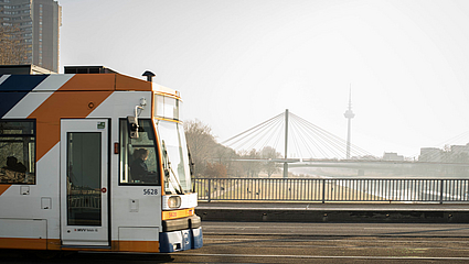 Stadtbahn auf einer Brücke in Mannheim