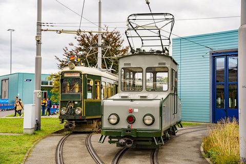 rnv: Tag der offenen Tür 2022 Zwei Oldtimer-Bahnen beim Tag der offenen Tür 2022 der rnv.