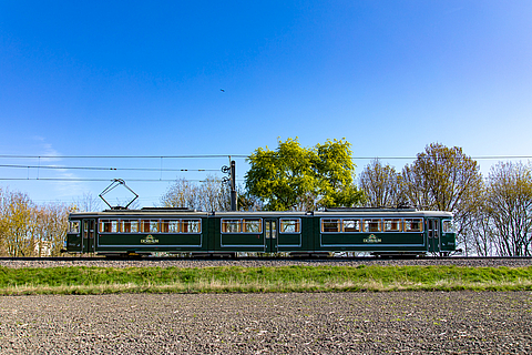 rnv-Eventfahrzeug Sixty im Grünen